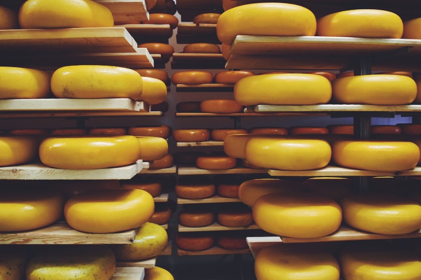 mountainoakgouda