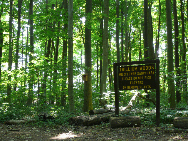 ”trilliumwoodsign”