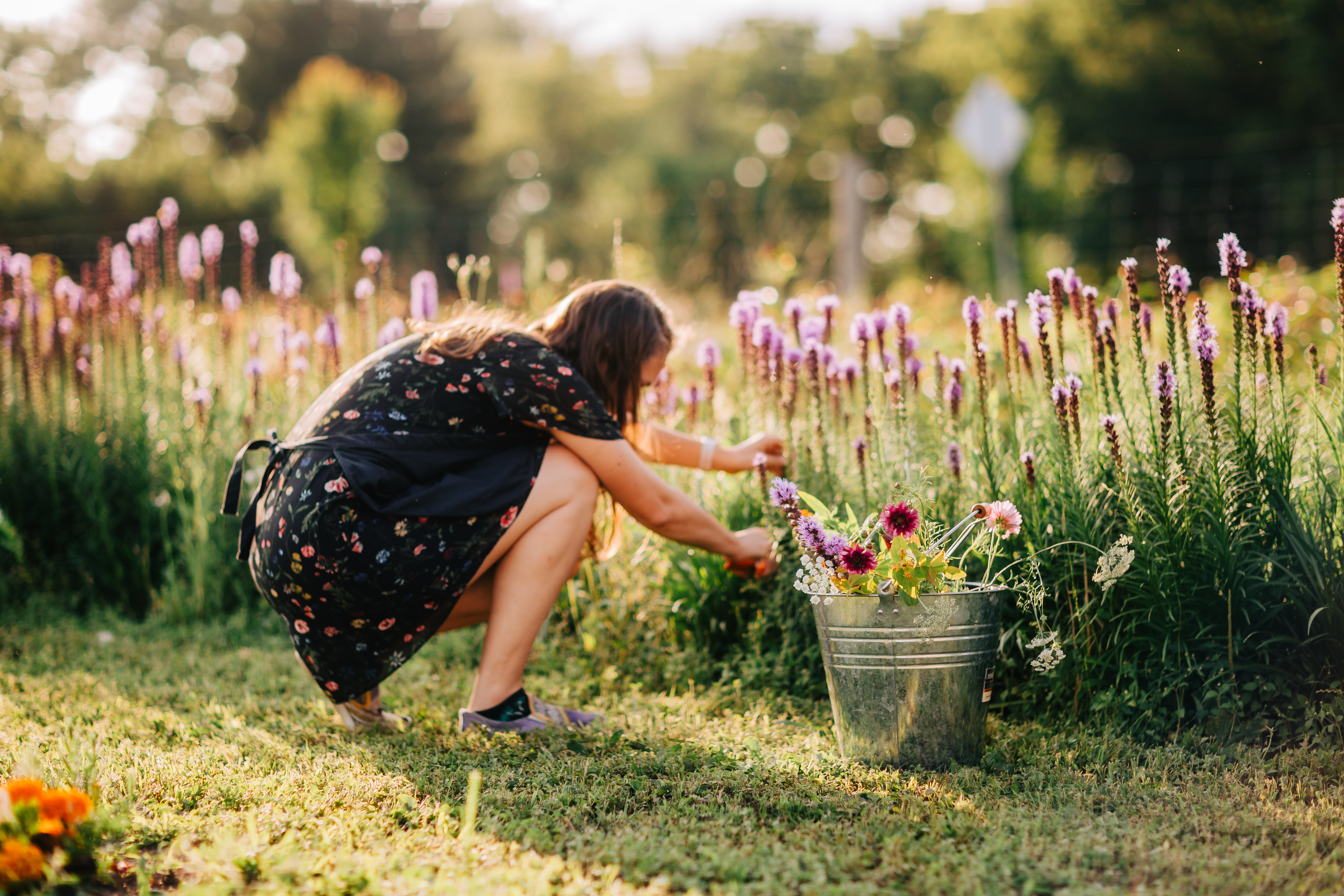 makkinks flower farm cut your own experience