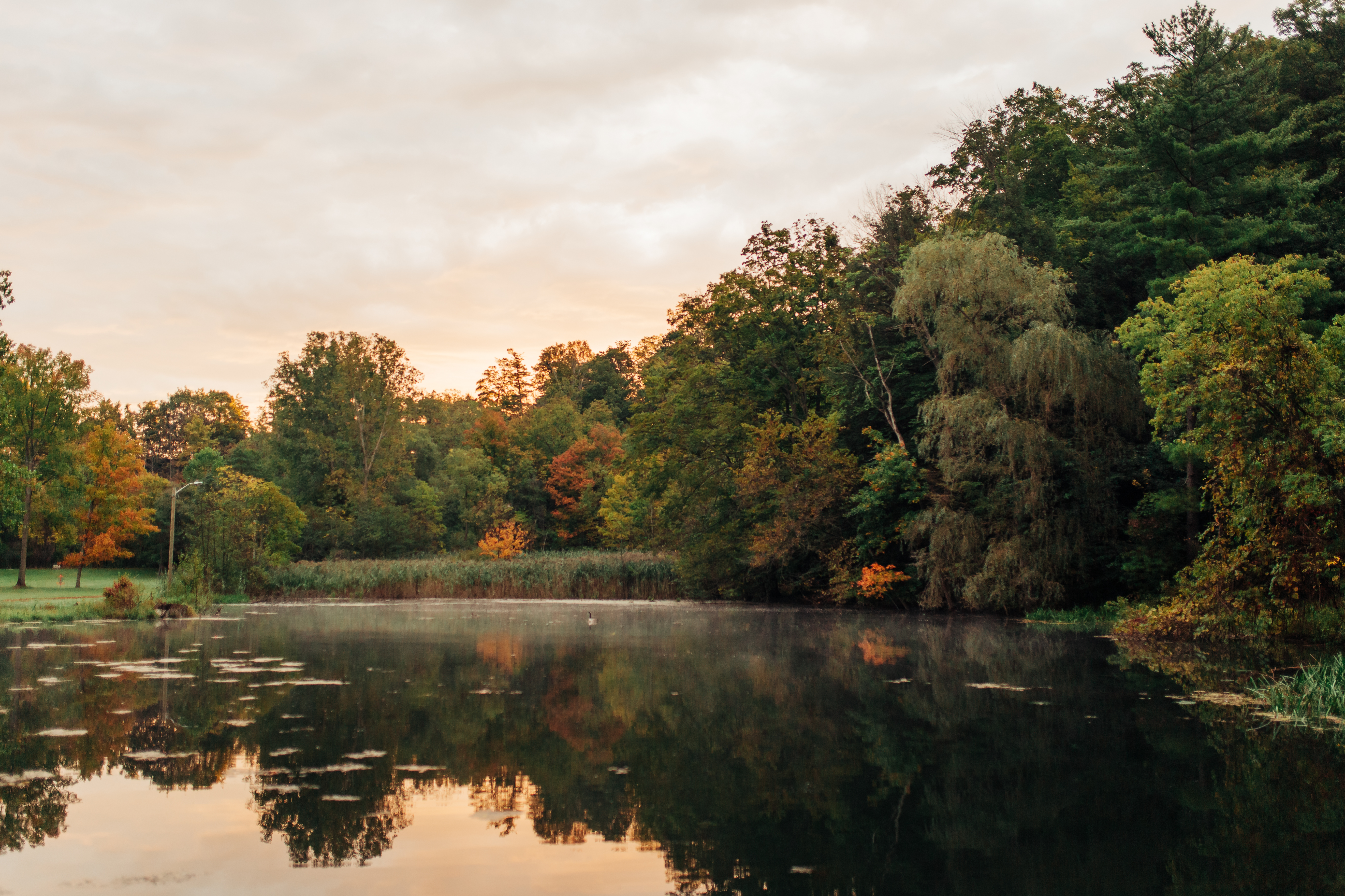 coronation park pond Tillsonburg