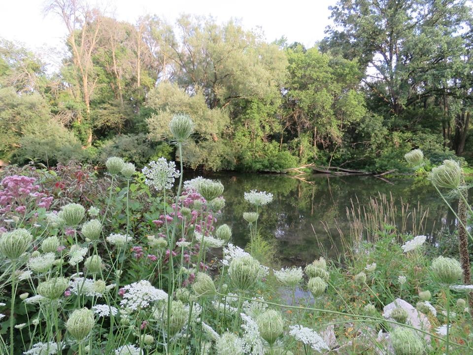 scene by pond in beachville