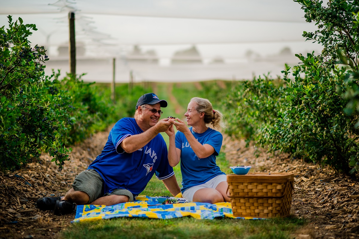 wendy and don enjoying a picnic in the blueberry patch