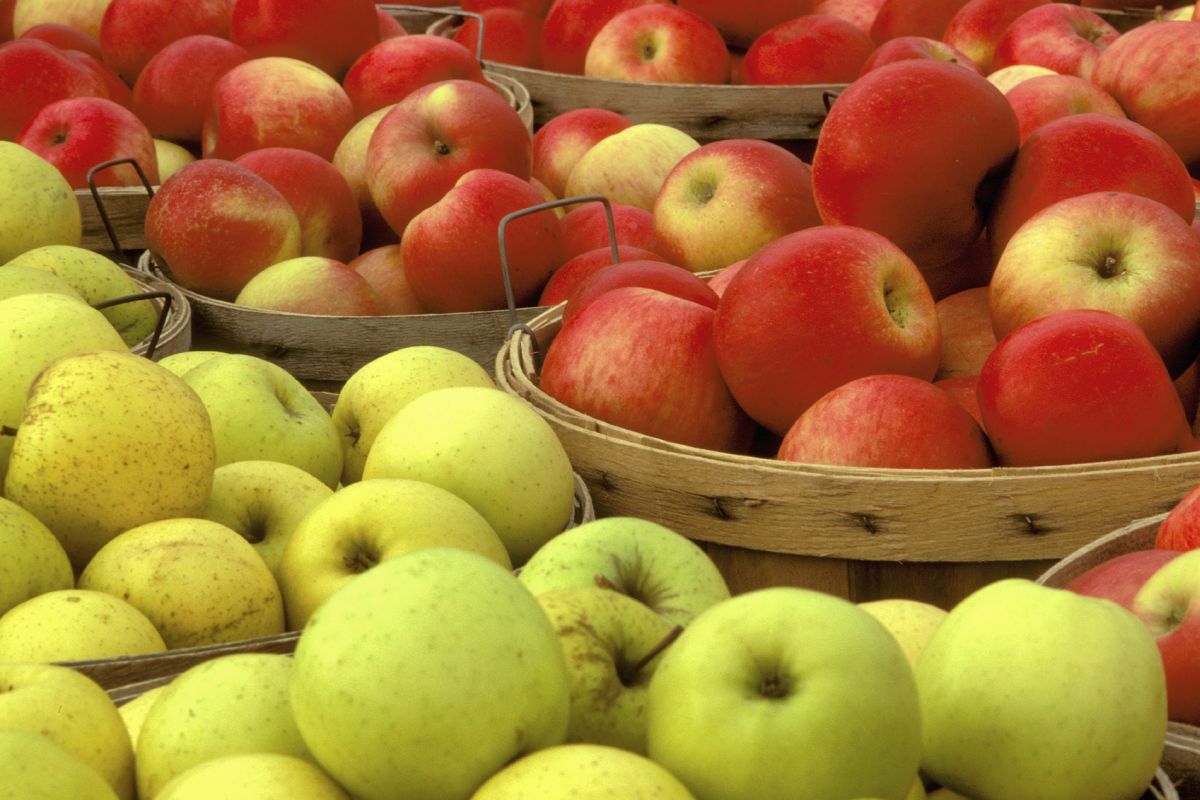 binnendyk apples on counter