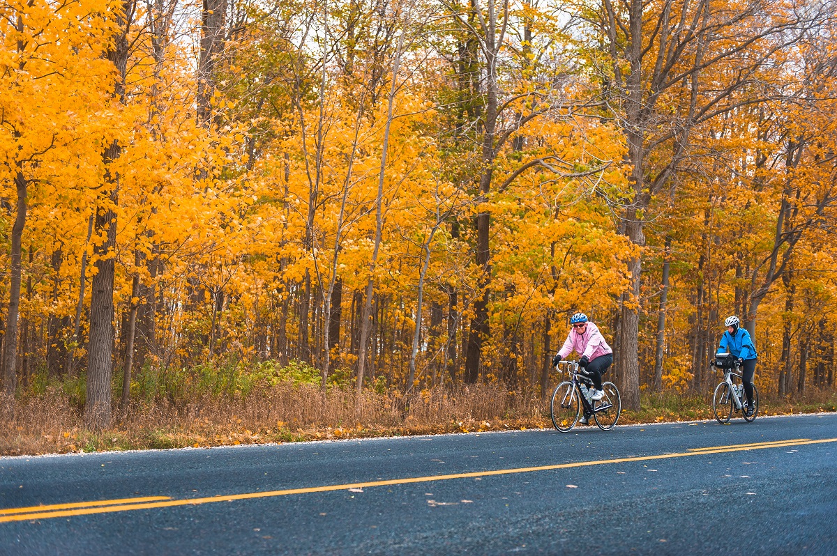 cycling in front of orange trees