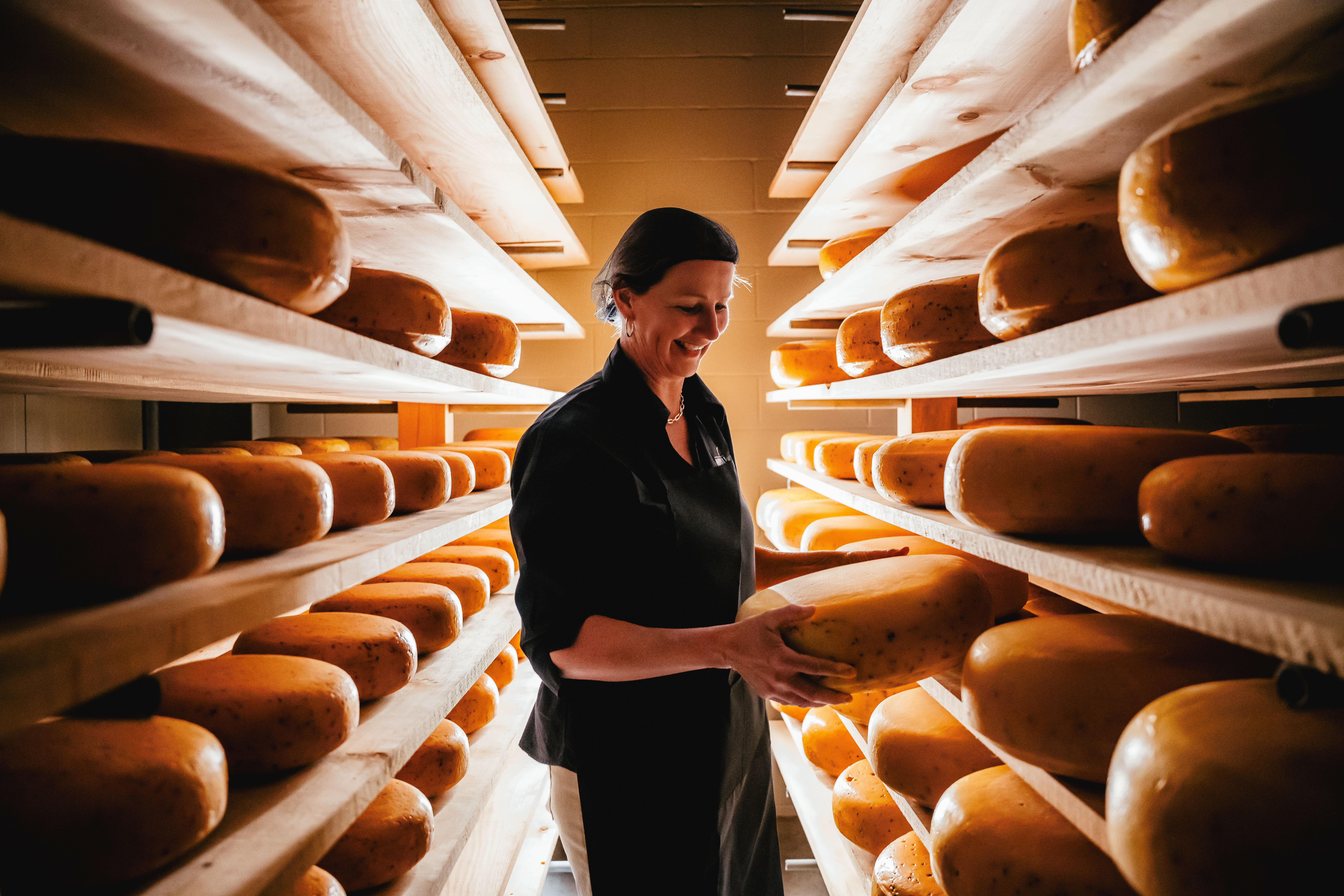 New Galma Dairy Cheese Wheels