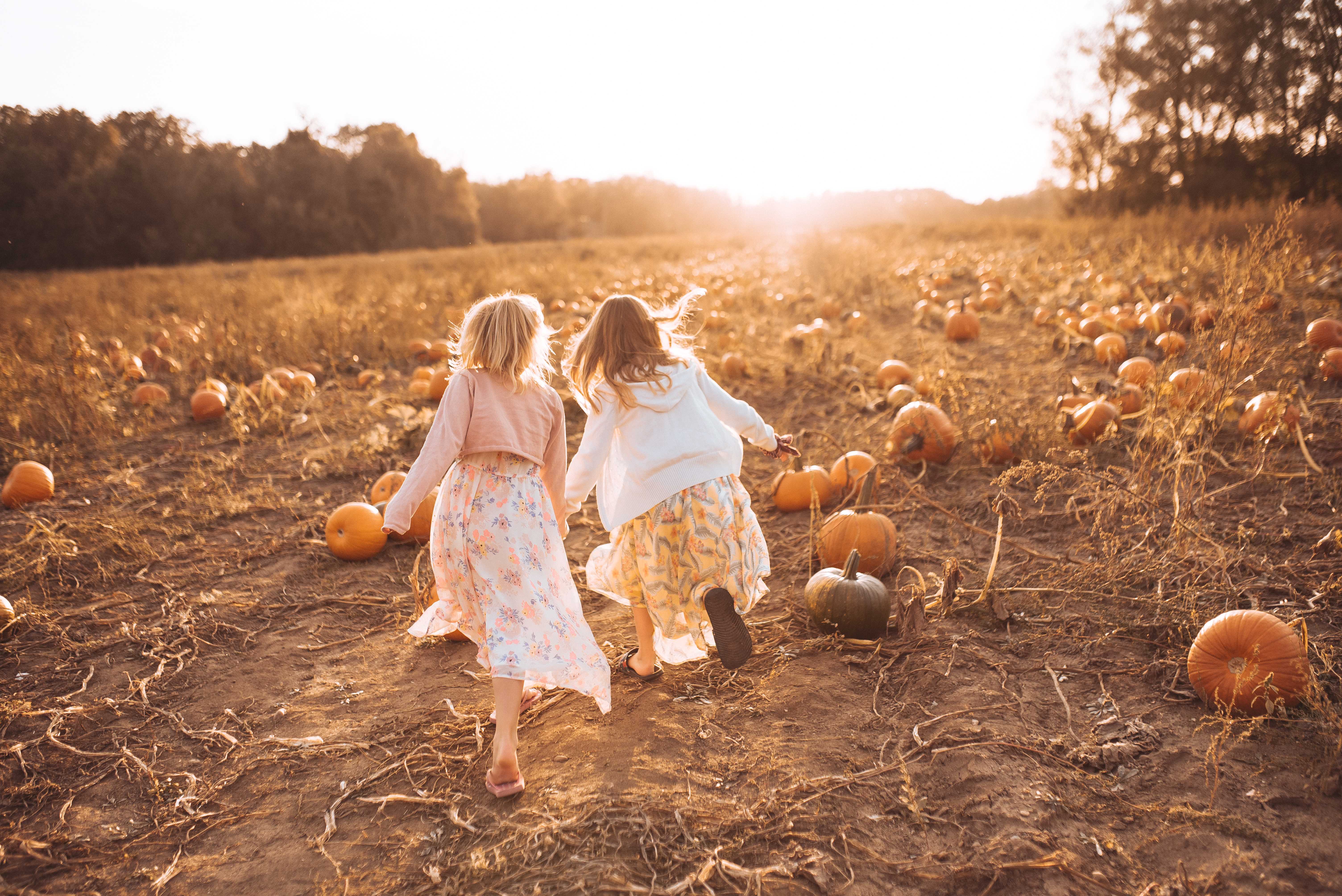 Kids running through pumpkin patch in fall