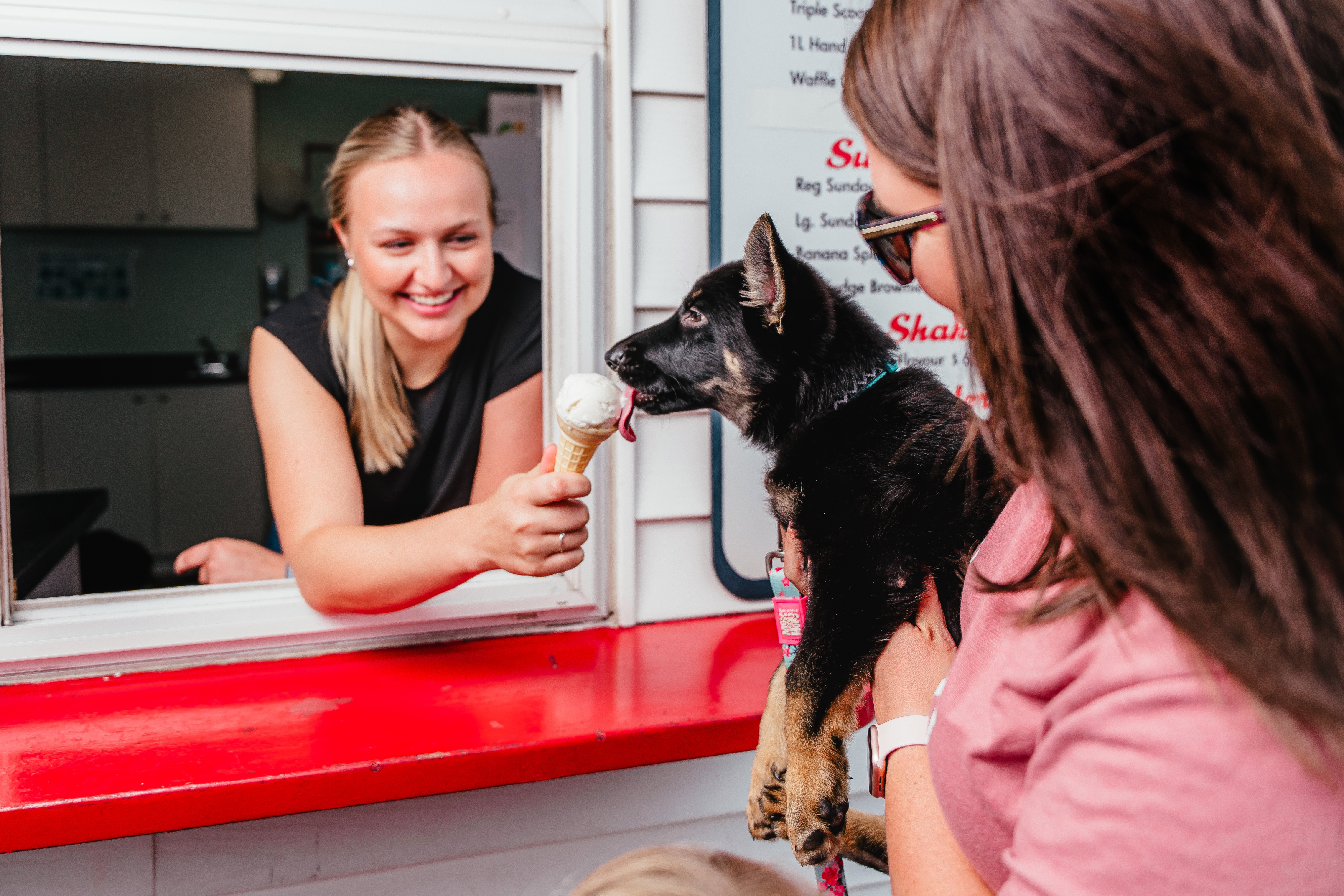 A German Shepherd puppy is lifted by owner to lick an ice cream cone, presented through the walk up window at Dad