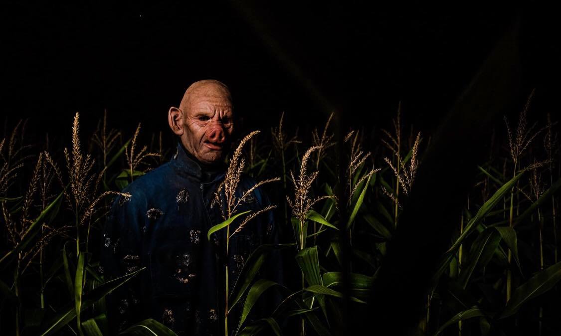 man hiding in cornfield with mask at fear farm
