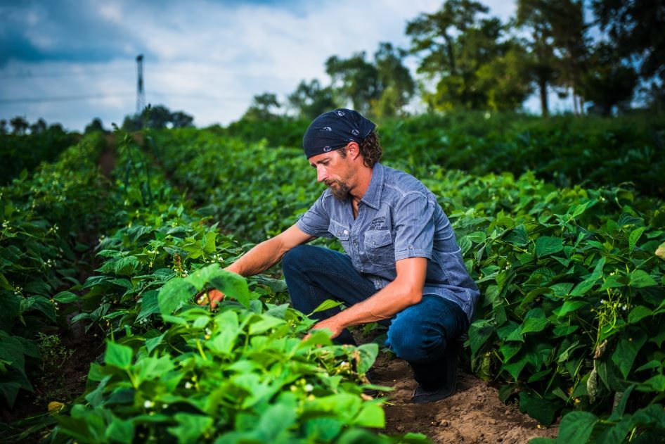 jason in the field