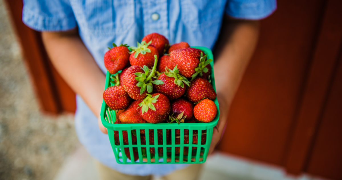 strawberrycontainer