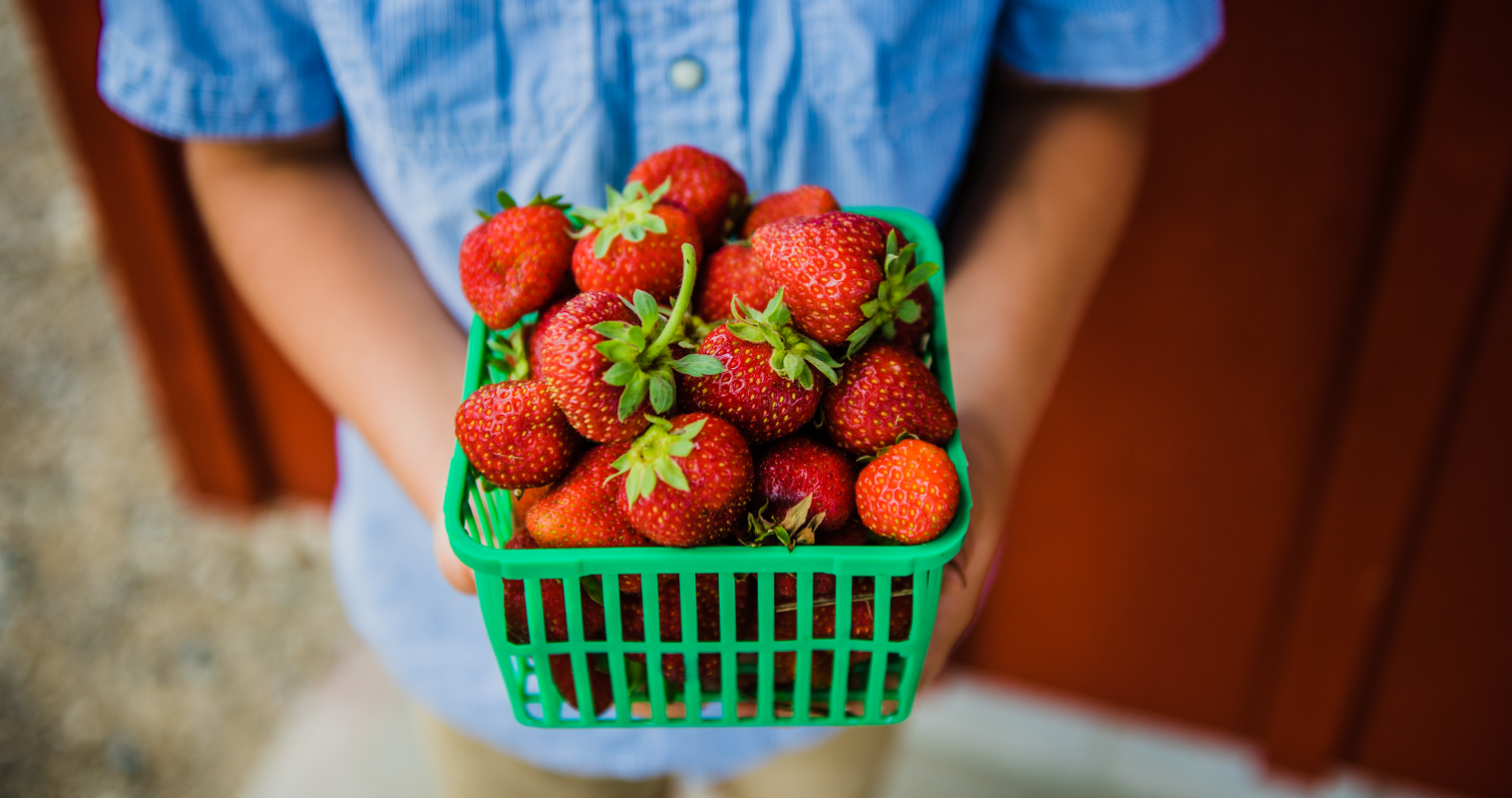 strawberry alert