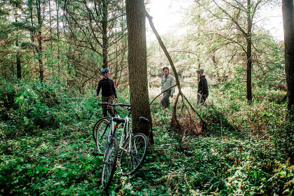 guided cycling trip through Nith Forest