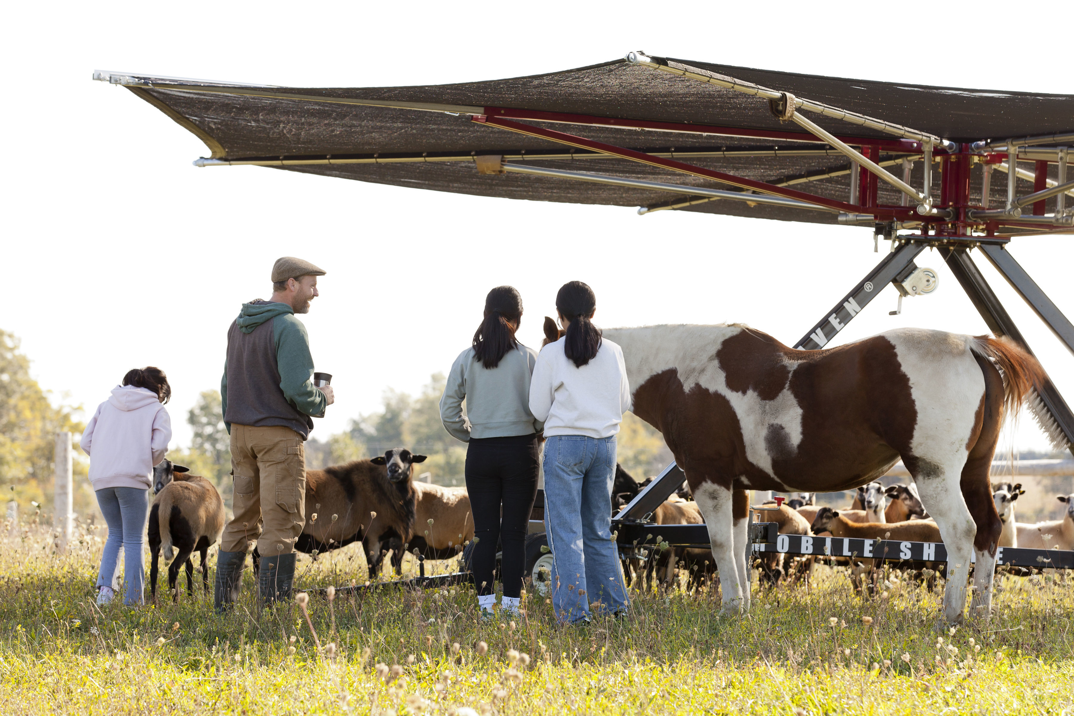 greener pastures eco farm