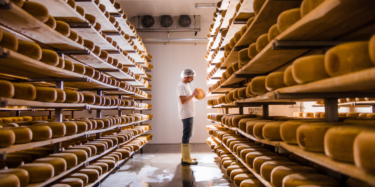 Gunns Hill Artisan Cheese Gravel Travel