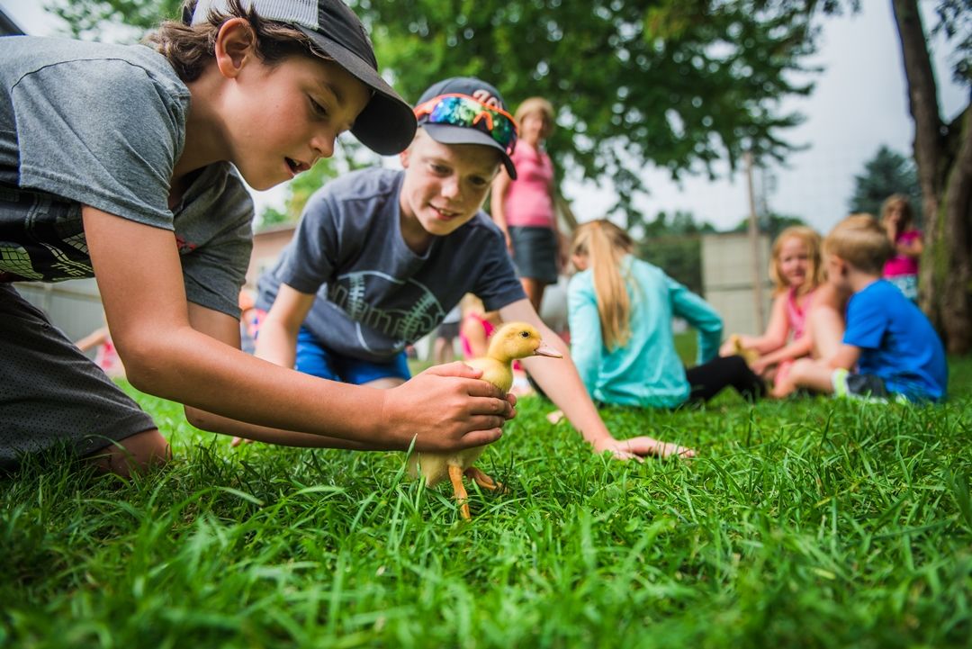 happy hills kids with duck