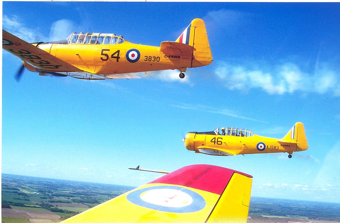 three harvard airplanes flying