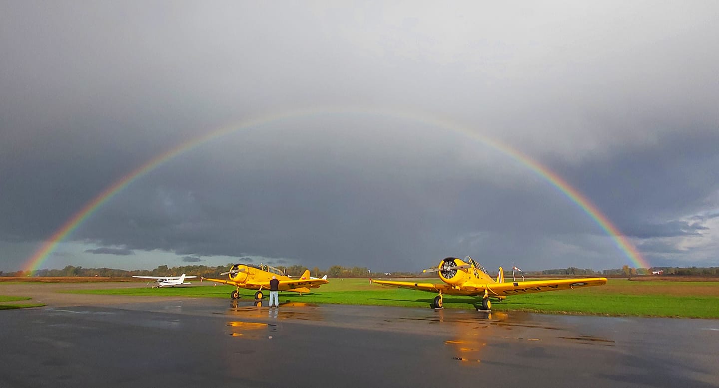 harvards in the sky