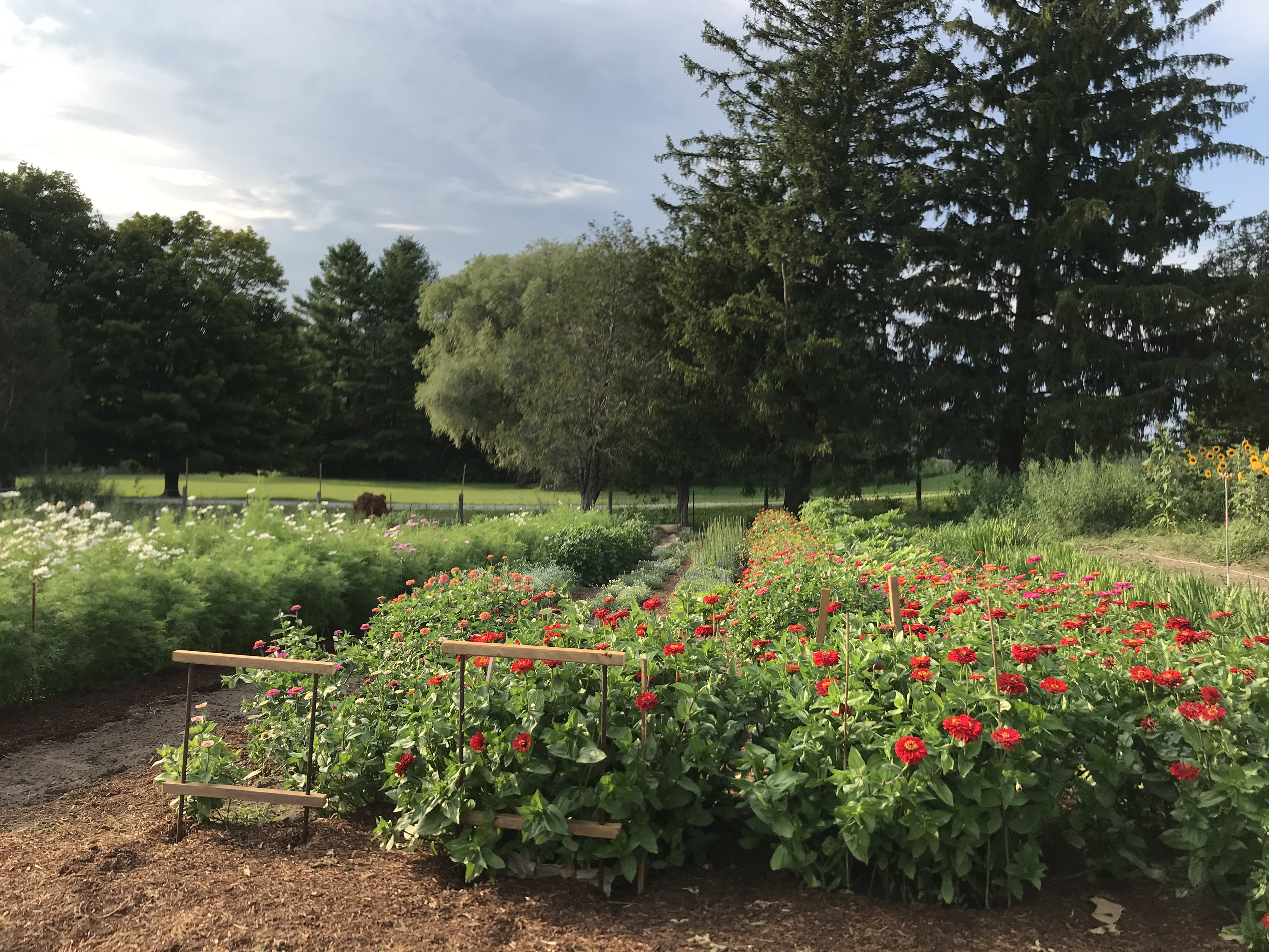 the garden in harrington