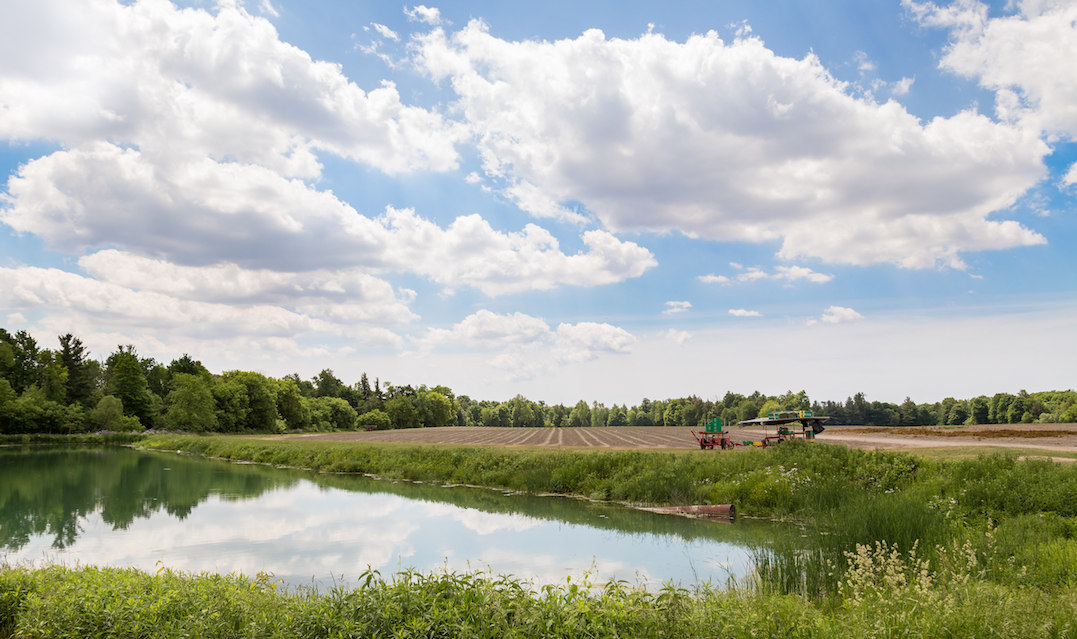 things to do in tillsonburg at koteles family farm