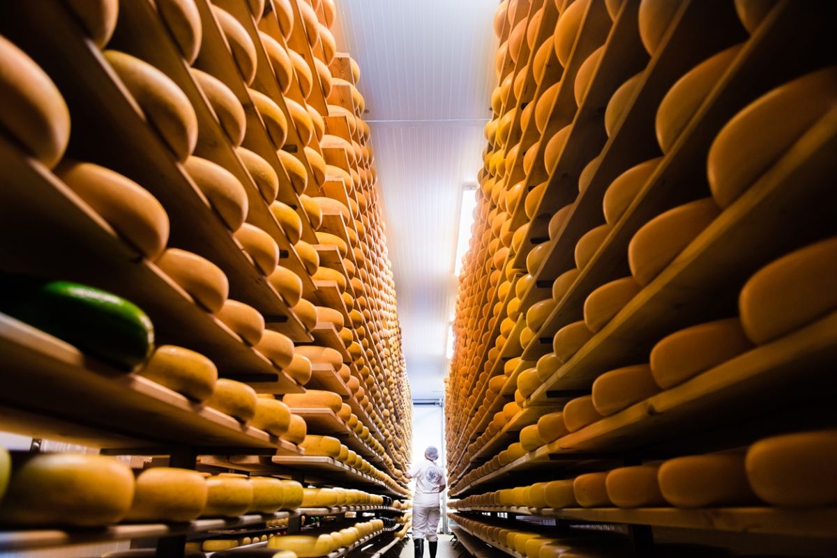 cheesemaker in the aging room at mountainoak cheese