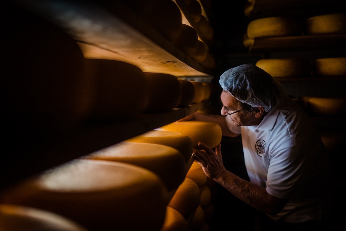 Adam close up inspecting cheese in the aging room, dark, moody lighting