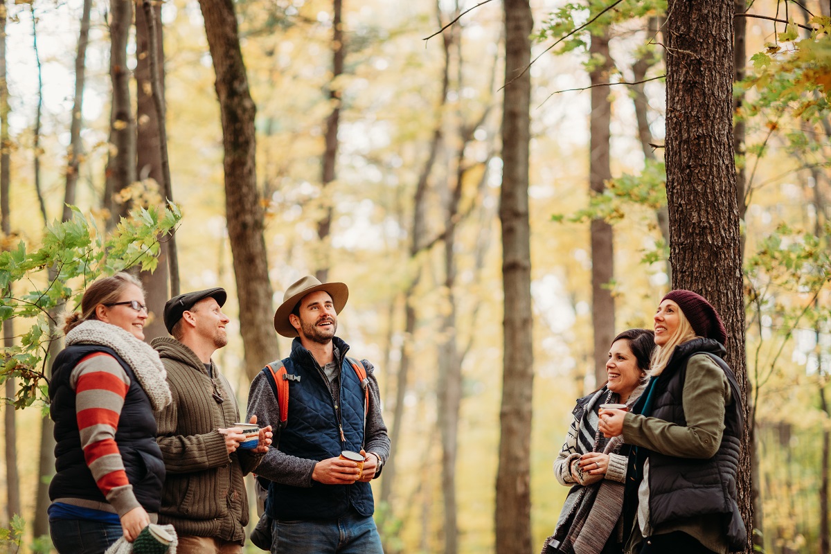 forest walk at tree to table