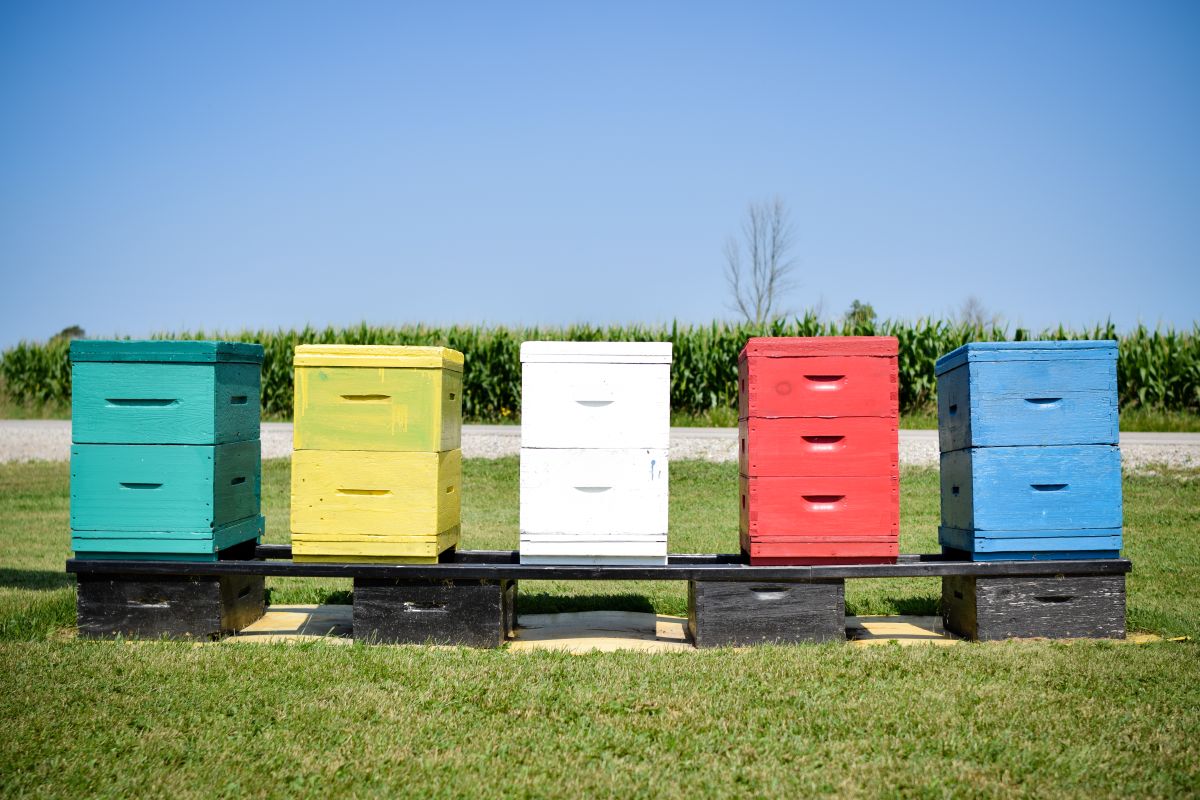 oxfordhoneyboxes