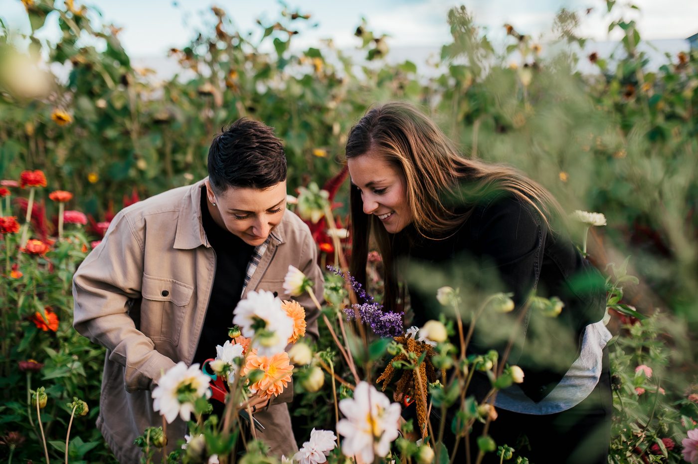 Rising Roots Hopeful Harvest experience