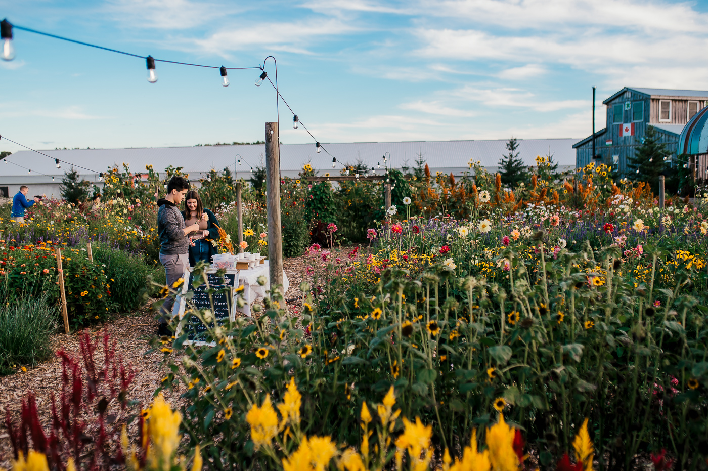 Hopeful Harvest Experience at Rising Roots Farm