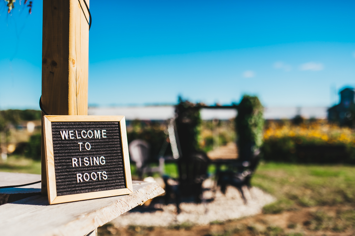Welcome to Rising Roots felt sign with campfire and garden in background