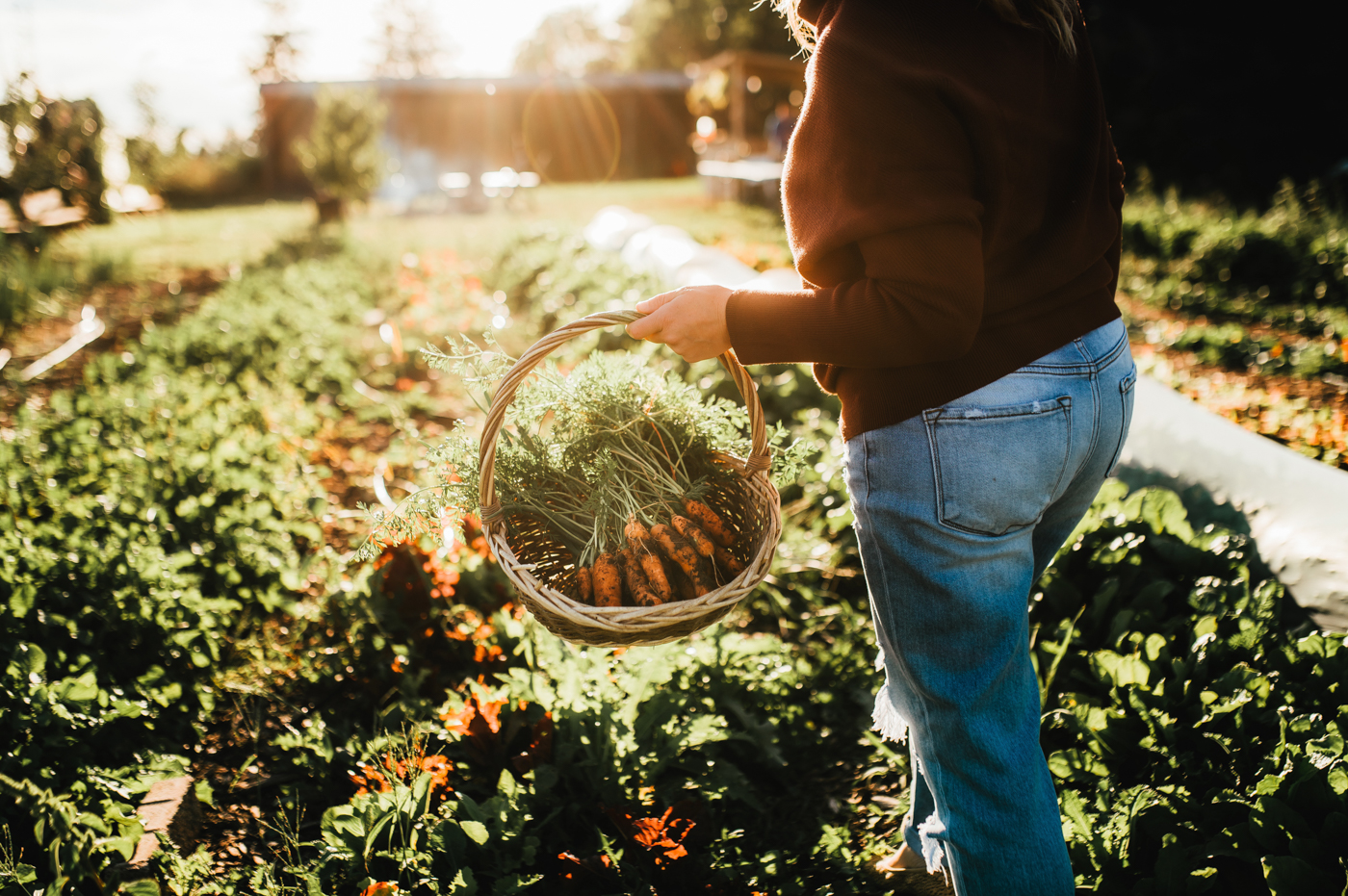 Hopeful Harvest Experience at Rising Roots Farm