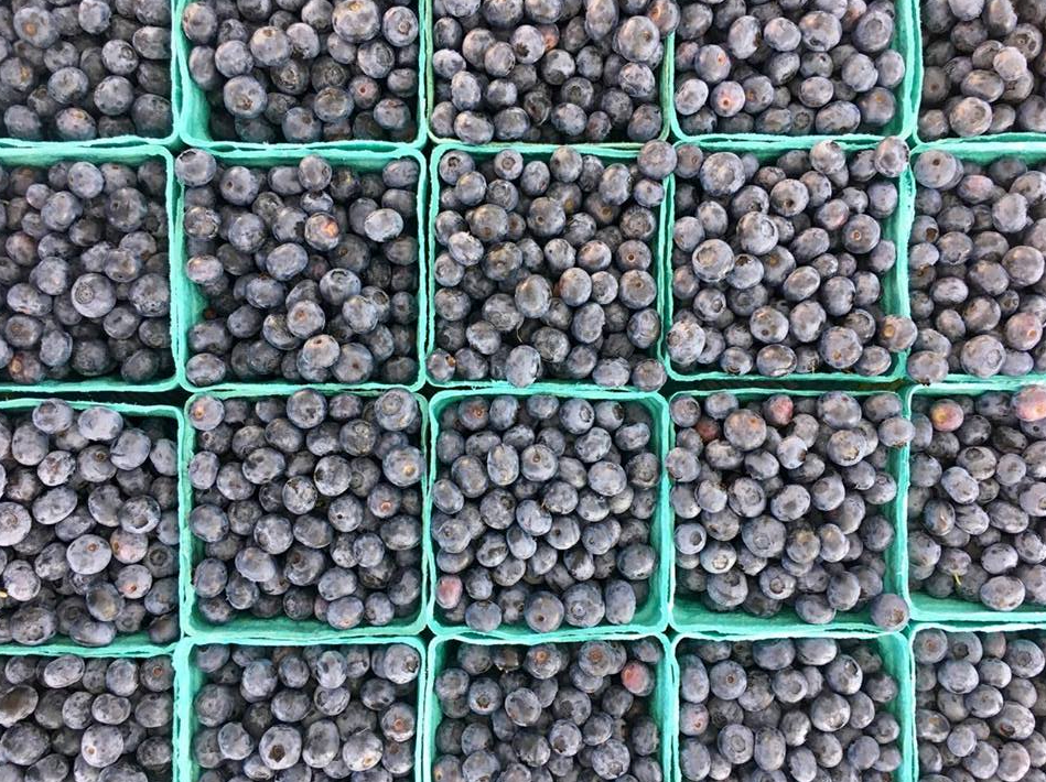 blueberries