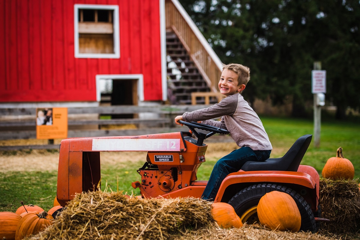 fall backroad fun at snyders