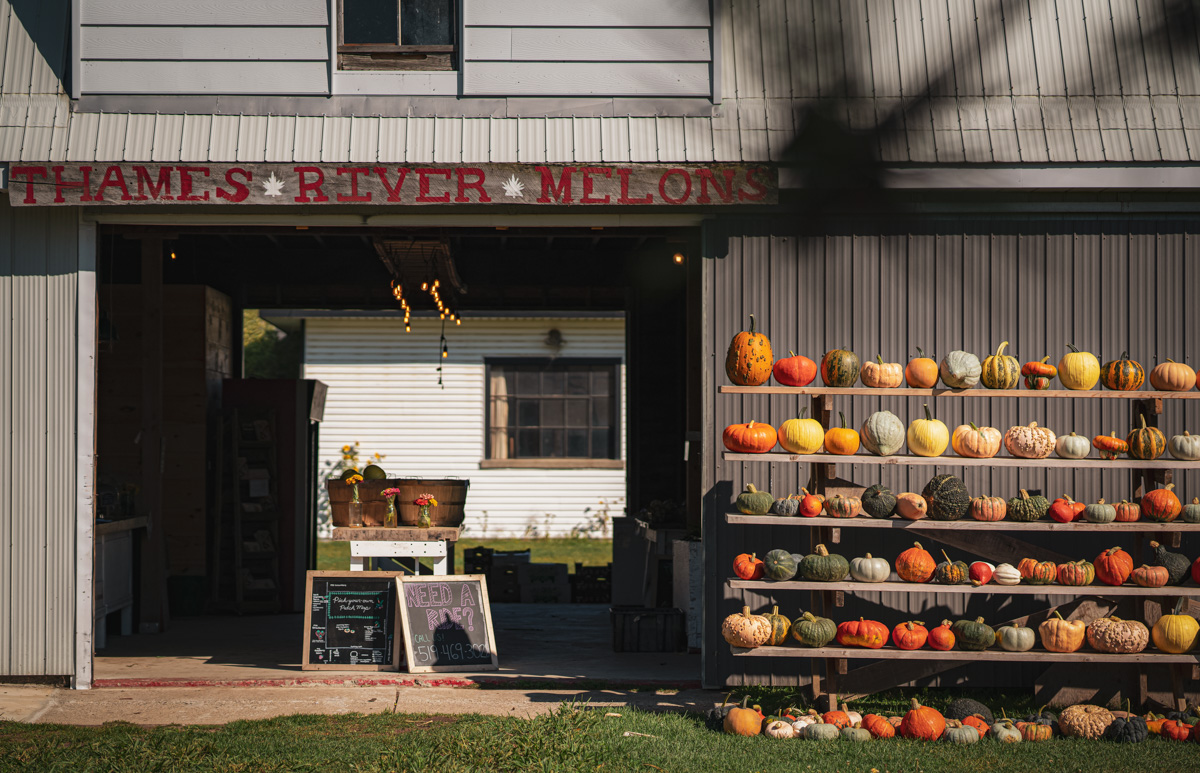 thames river melons