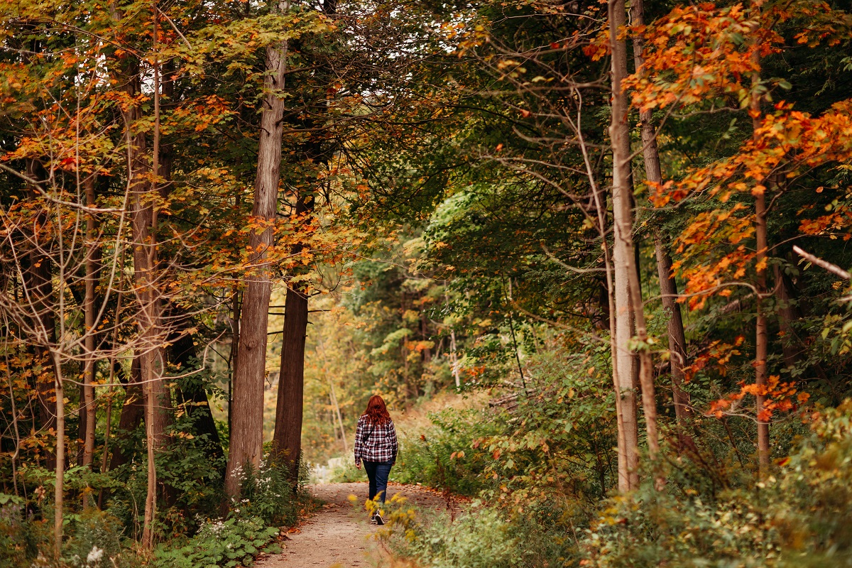 Shelley on The Carrol Trail