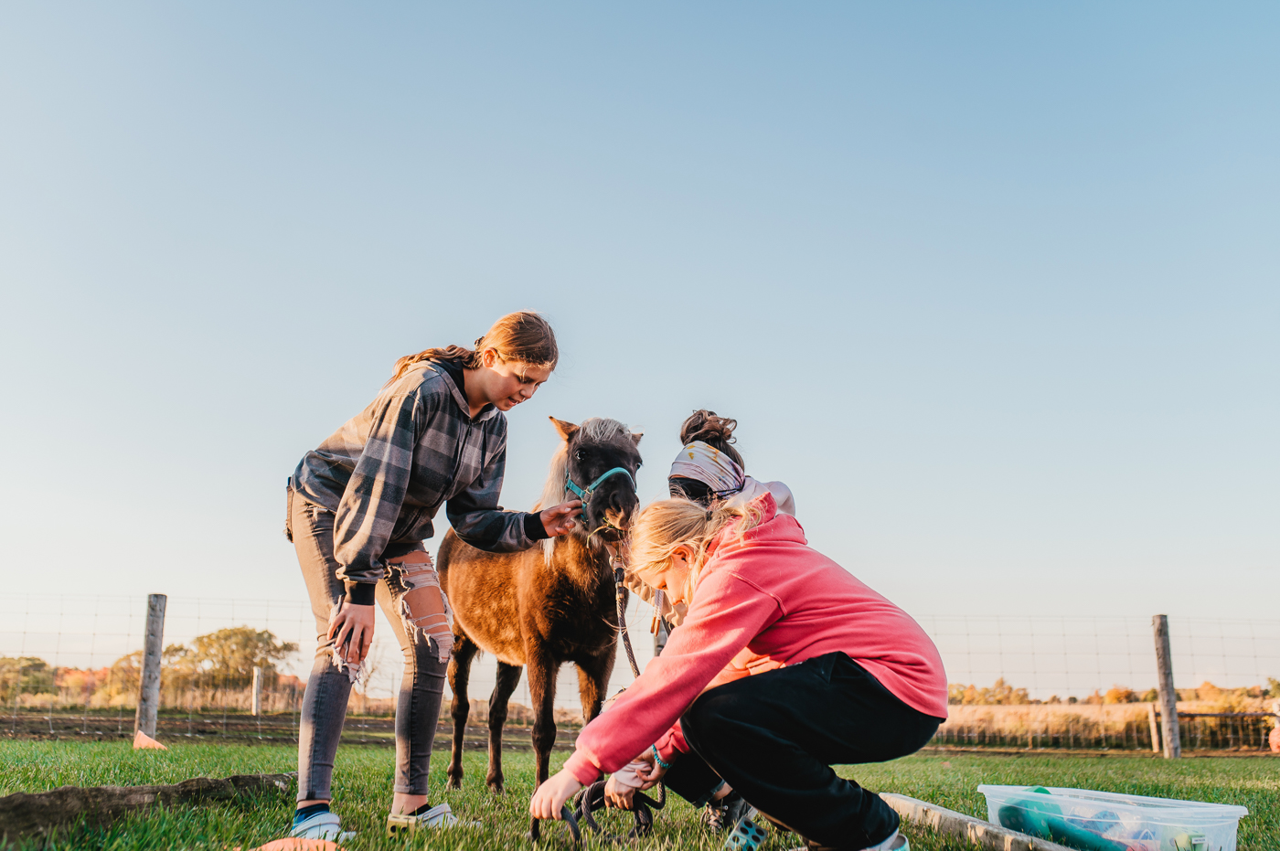 Transitions Experience Group Activity with Horse