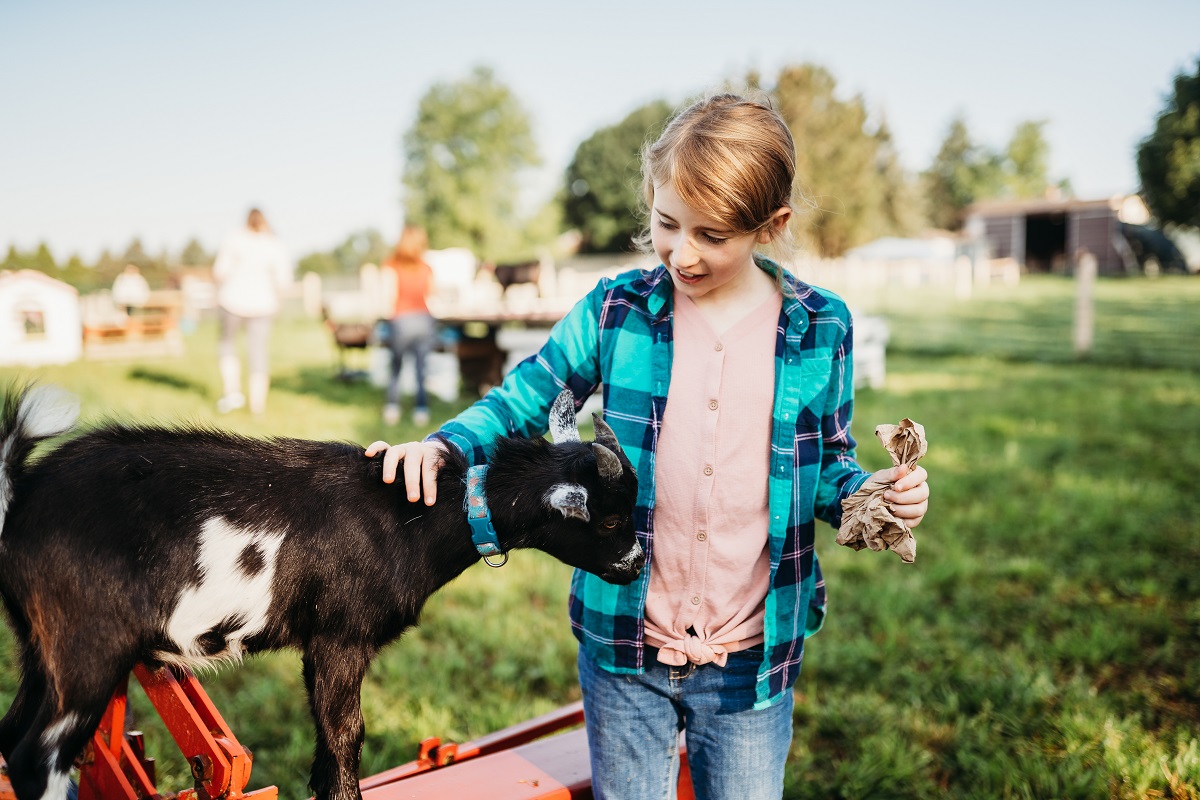 girl playing with a goat at udderly ridiculous farm life