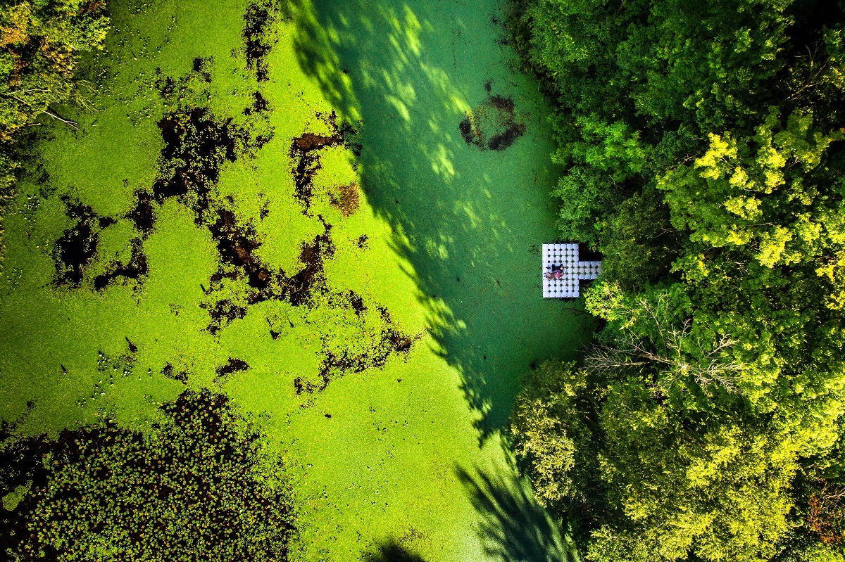 aerial shot of vanisttart woods with crystal and liam on floating dock