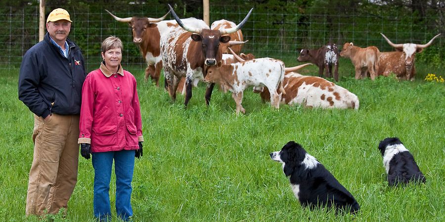 cathy and bryan in the field with cattle and two dogs