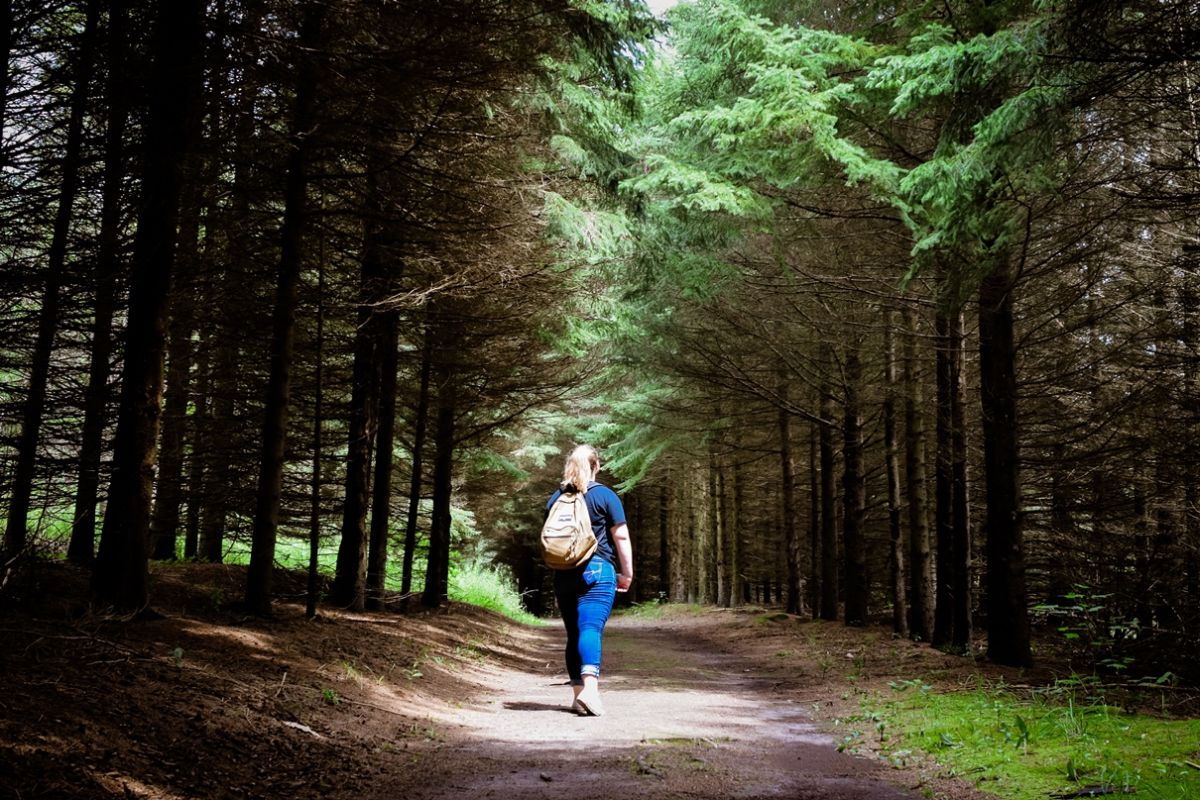 taylor hiking the husky trail at pittock