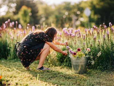 Makkink's Flower Farm: Cut your own bouquet of flowers and happiness