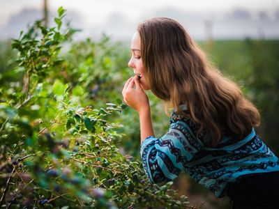 Pick Your Own in Oxford