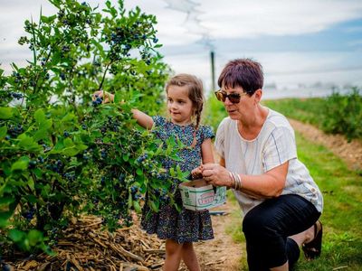 Fun Things to do with Grandchildren in Oxford County