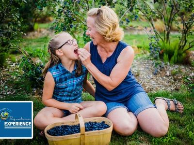 Picnics in the Patch: Five Summer Basket Experiences to Try 