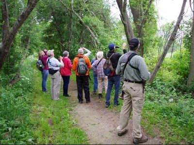 Birding in Oxford County