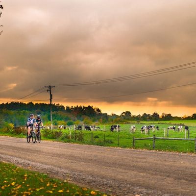 Gravel Road Routes