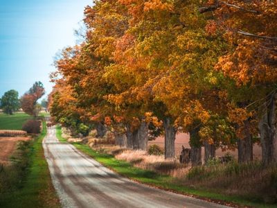 3 Routes to Satisfy Your Fall Colour Craving