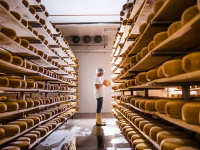Discover Oxford County's Cheese and Dairy Makers for Big Cheese Days