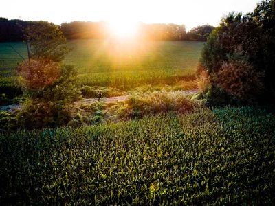 Woodstock, Hickson Trail, Wolverton (74km)