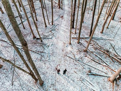 Trillium Woods - 1km